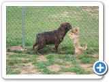 SAM_0005